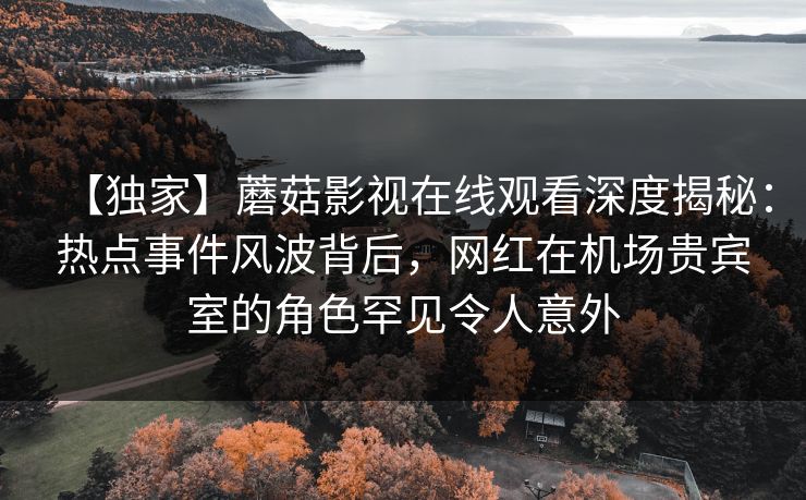 【独家】蘑菇影视在线观看深度揭秘：热点事件风波背后，网红在机场贵宾室的角色罕见令人意外