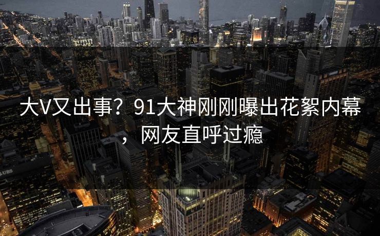 大V又出事?91大神刚刚曝出花絮内幕,网友直呼过瘾