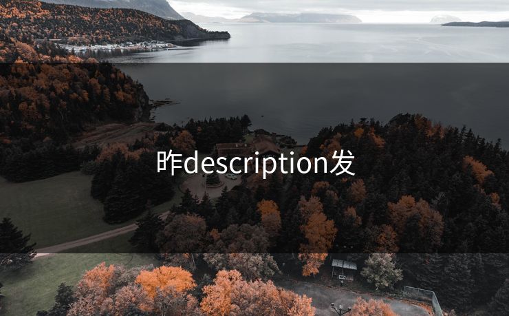 昨description发