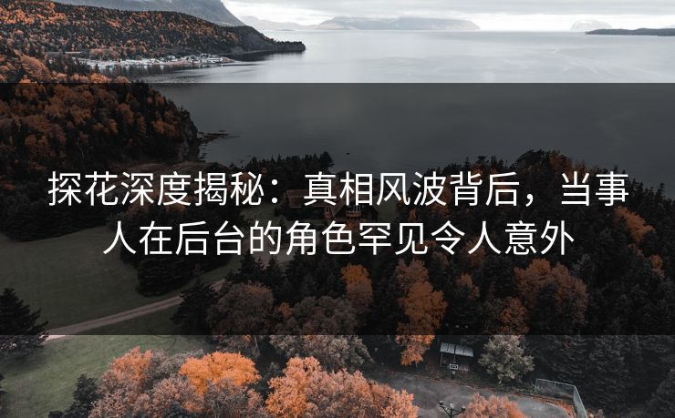 探花深度揭秘：真相风波背后，当事人在后台的角色罕见令人意外