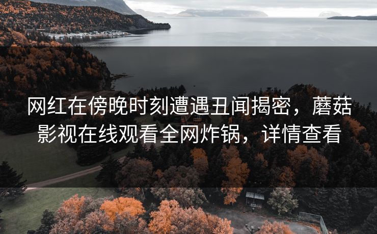 网红在傍晚时刻遭遇丑闻揭密，蘑菇影视在线观看全网炸锅，详情查看